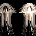 meduza_cira